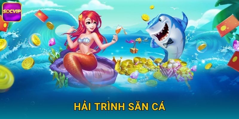 Hải Trình Săn Cá Socvip – Cuộc Phiêu Lưu Biển Khơi