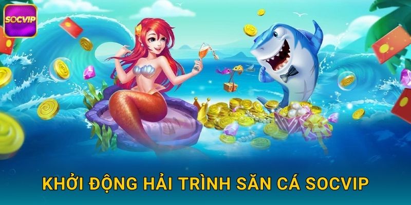 Khởi động Hải Trình Săn Cá Socvip