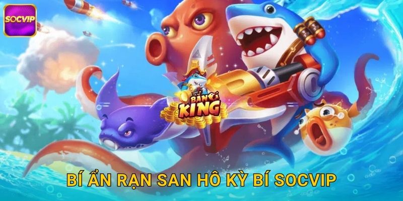 Rạn San Hô Kỳ Bí Socvip - Thế Giới Dưới Nước 2 Bí ẩn Rạn San Hô Kỳ Bí Socvip