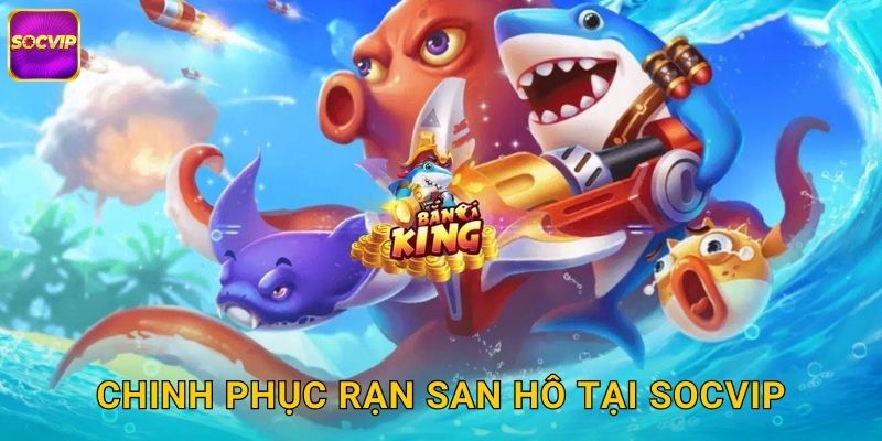 Rạn San Hô Kỳ Bí Socvip - Thế Giới Dưới Nước 3 Chinh phục rạn san hô tại Socvip