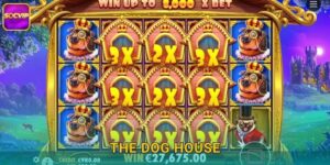 The Dog House Socvip – Ngôi Nhà Cún Con May Mắn