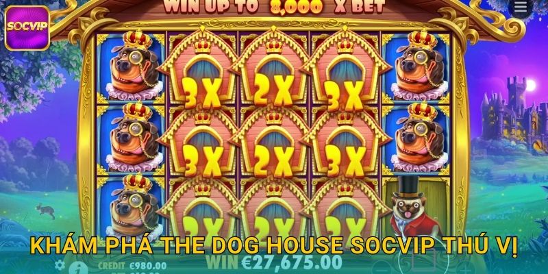 Khám phá The Dog House Socvip thú vị