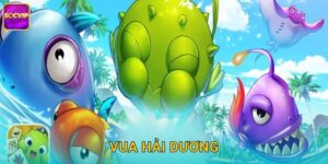 Vua Hải Dương Socvip – Thống Trị Biển Cả Kiếm Tiền