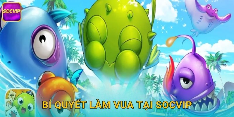 Vua Hải Dương Socvip - Thống Trị Biển Cả Kiếm Tiền 3 Bí quyết làm vua tại Socvip